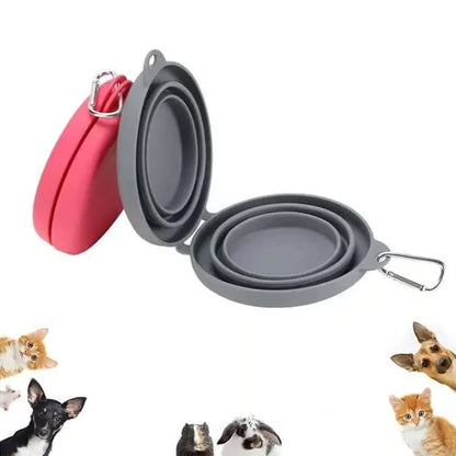 Collapsible Travel Dog Bowl Set