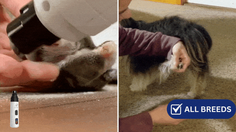 Silent Pro Pet Nail Grinder