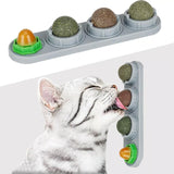 Catnip Ball for Cats