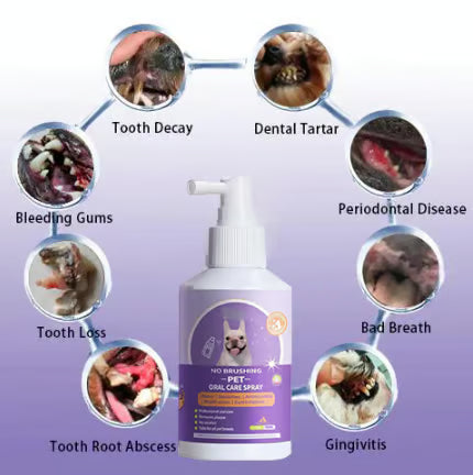 Pet Teeth Cleaning Spray for Dogs & Cats