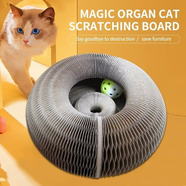 Magic Cat Scratcher — Foldable Donut Toy