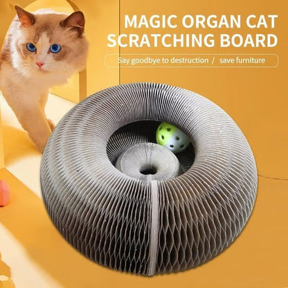 Magic Cat Scratcher — Foldable Donut Toy