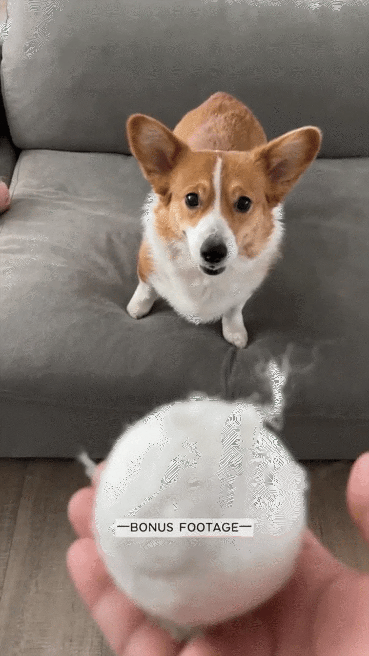 Tennis Tumble — Interactive Dog Puzzle Toy