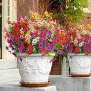 💥Only $1.98 Last Day Promotion!🌺UV Resistant Colorful Artificial Flower🌺