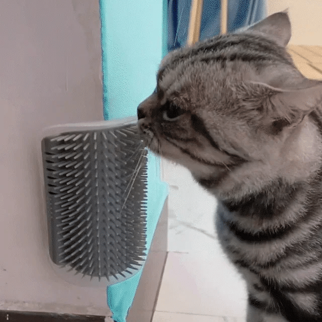 Cat Corner Self-Groomer Massage Brush