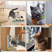 Catnip Ball for Cats