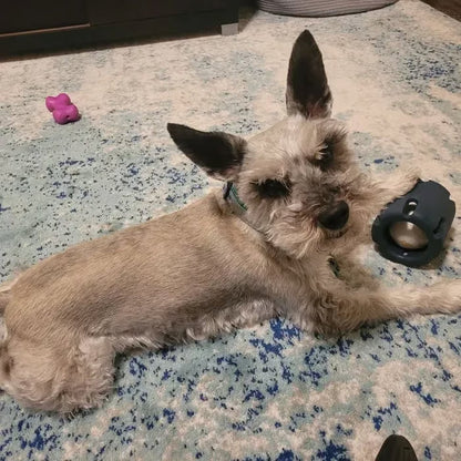 Tennis Tumble — Interactive Dog Puzzle Toy