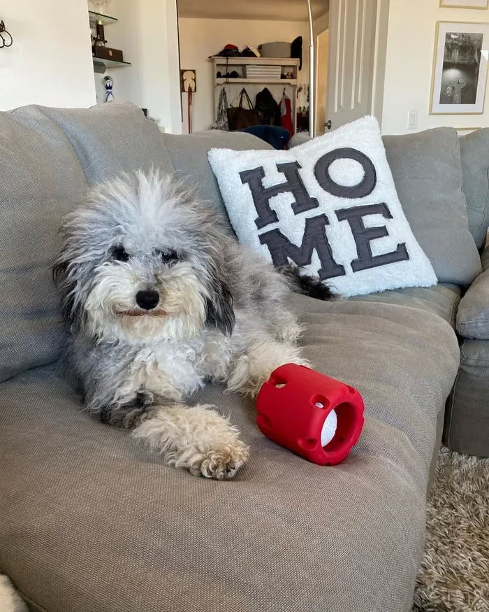 Tennis Tumble — Interactive Dog Puzzle Toy