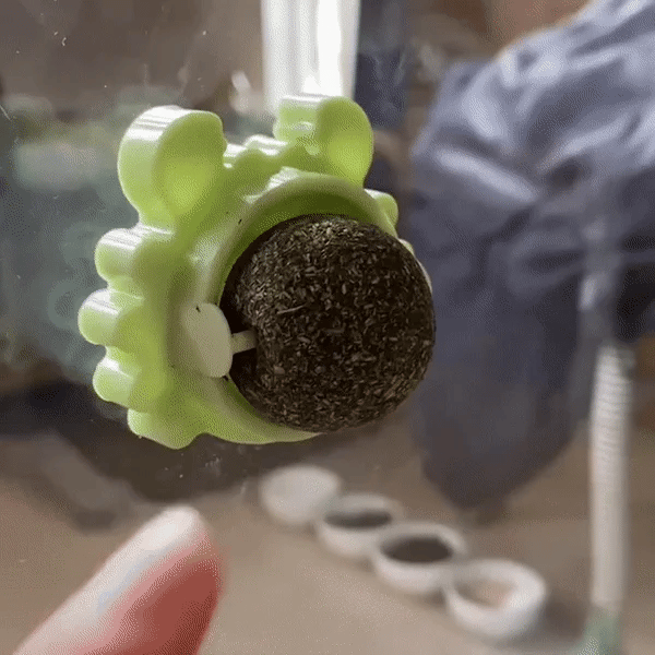 Catnip Wall Ball for Cats