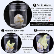 Magic Hatching Dinosaur Eggs — Growing Water Toy