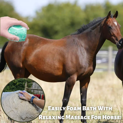Pet Silicone Bath & Massage Brush