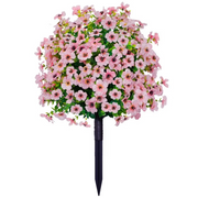 ⏰ Last Day Special — Create Your Dream Garden Paradise at Unbeatable Prices