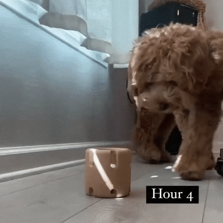 Tennis Tumble — Interactive Dog Puzzle Toy