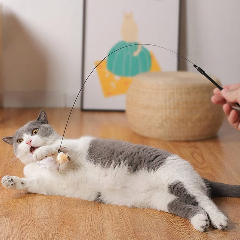 Self-Play Bird Feather Cat Toy