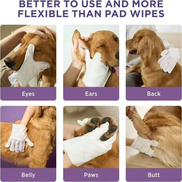 Deodorizing Pet Glove Wipes for Dogs & Cats (6 Pcs)