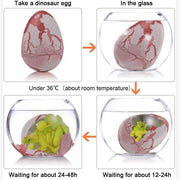 Magic Hatching Dinosaur Eggs — Growing Water Toy