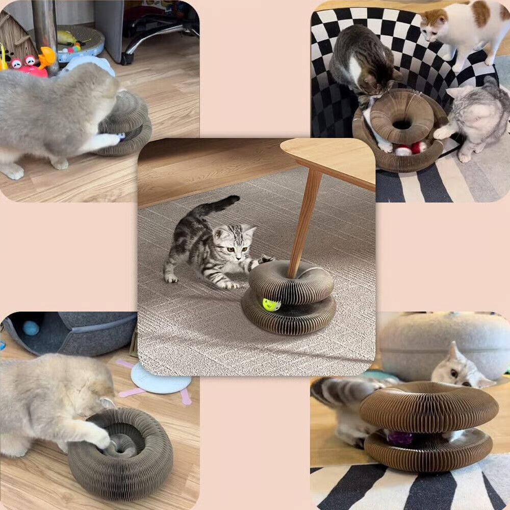 Magic Cat Scratcher — Foldable Donut Toy