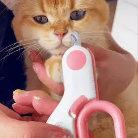 LED Pet Nail Clipper with Safety Lock