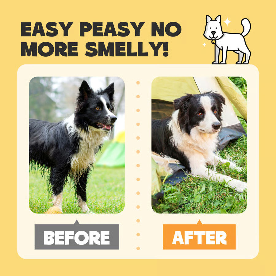 Deodorizing Pet Glove Wipes for Dogs & Cats (6 Pcs)