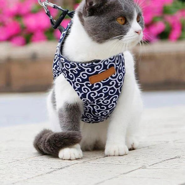 🐱Cat Vest Harness & Leash Set