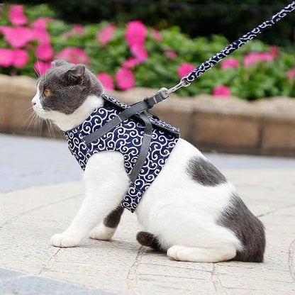 🐱Cat Vest Harness & Leash Set