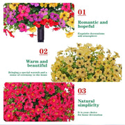 ⏰ Last Day Special — Create Your Dream Garden Paradise at Unbeatable Prices